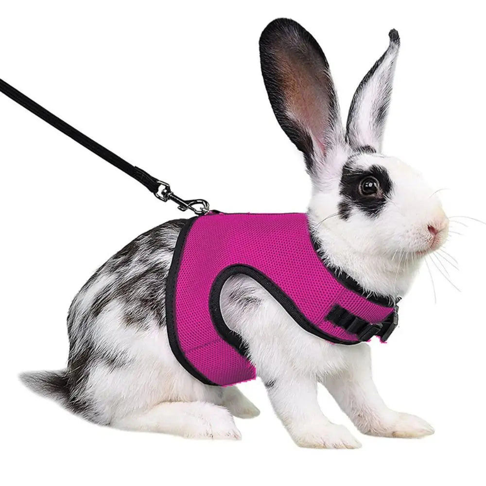 Fine Workmanship Pet Harness Rabbit Chest Harness Leash Guinea Pig Rabbit Sable Kitten Leash Small Pet Traction Leash Rabbit