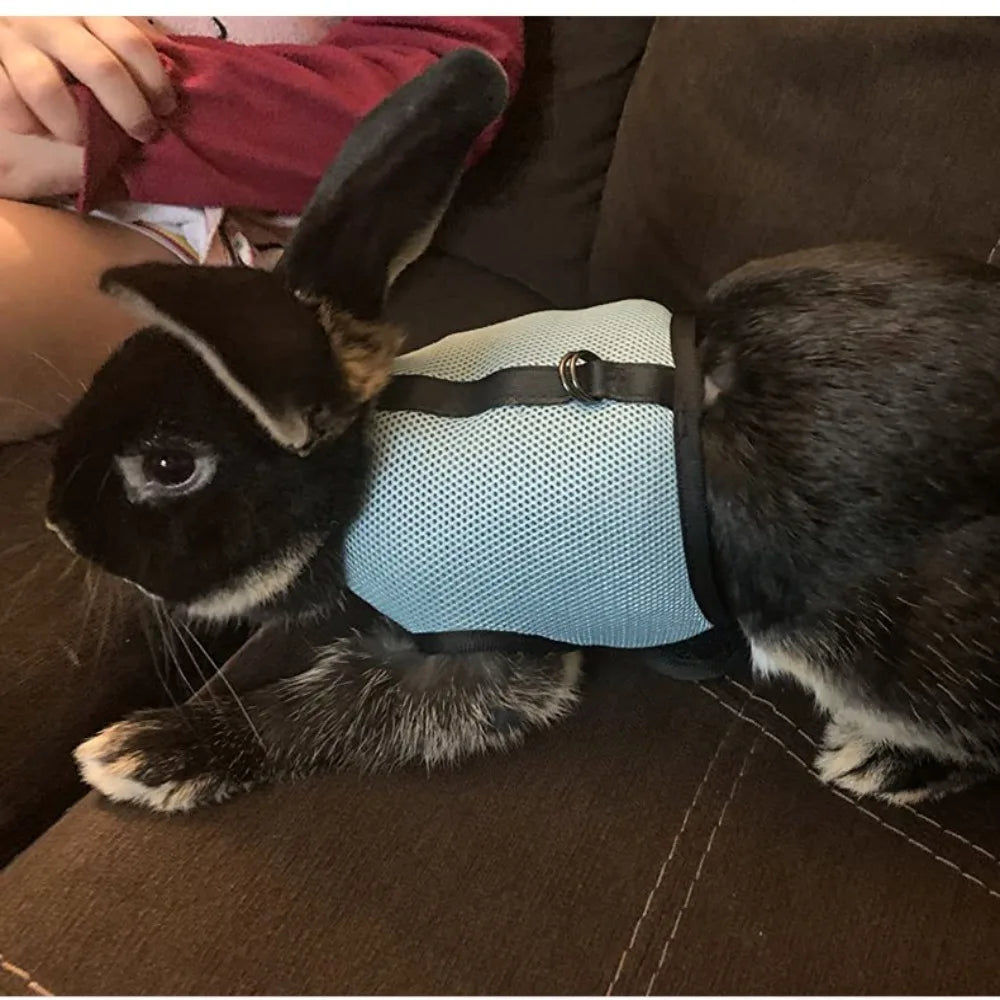 Fine Workmanship Pet Harness Rabbit Chest Harness Leash Guinea Pig Rabbit Sable Kitten Leash Small Pet Traction Leash Rabbit