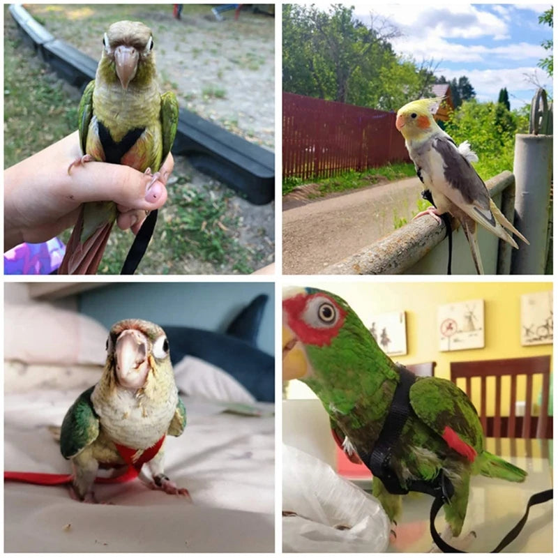 Parrot Bird Harness Leash Adjustable Anti-Bite Training Rope Outdoor Flying Traction Straps Band Dropshipping