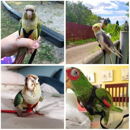 Parrot Bird Harness Leash Adjustable Anti-Bite Training Rope Outdoor Flying Traction Straps Band Dropshipping