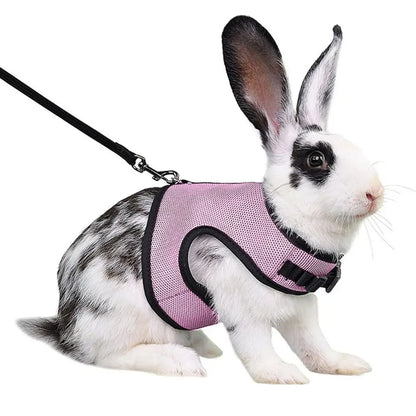 Fine Workmanship Pet Harness Rabbit Chest Harness Leash Guinea Pig Rabbit Sable Kitten Leash Small Pet Traction Leash Rabbit