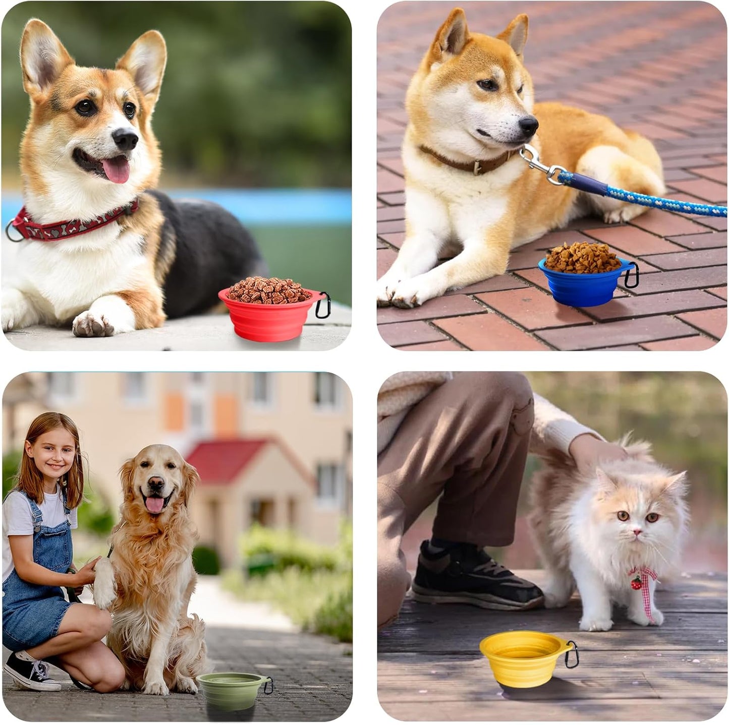 2-Pack Silicone Collapsible Dog Bowls, BPA Free Dishwasher Safe, Portable Foldable Expandable Travel Bowl, Food Water Feeding Cup Dish for Dogs Cats with 2 Carabiners (Army Green, Blue) | 20 Oz, Silicone, Foldable Expandable Cat Feeding Cup Dish, 2 Carabi