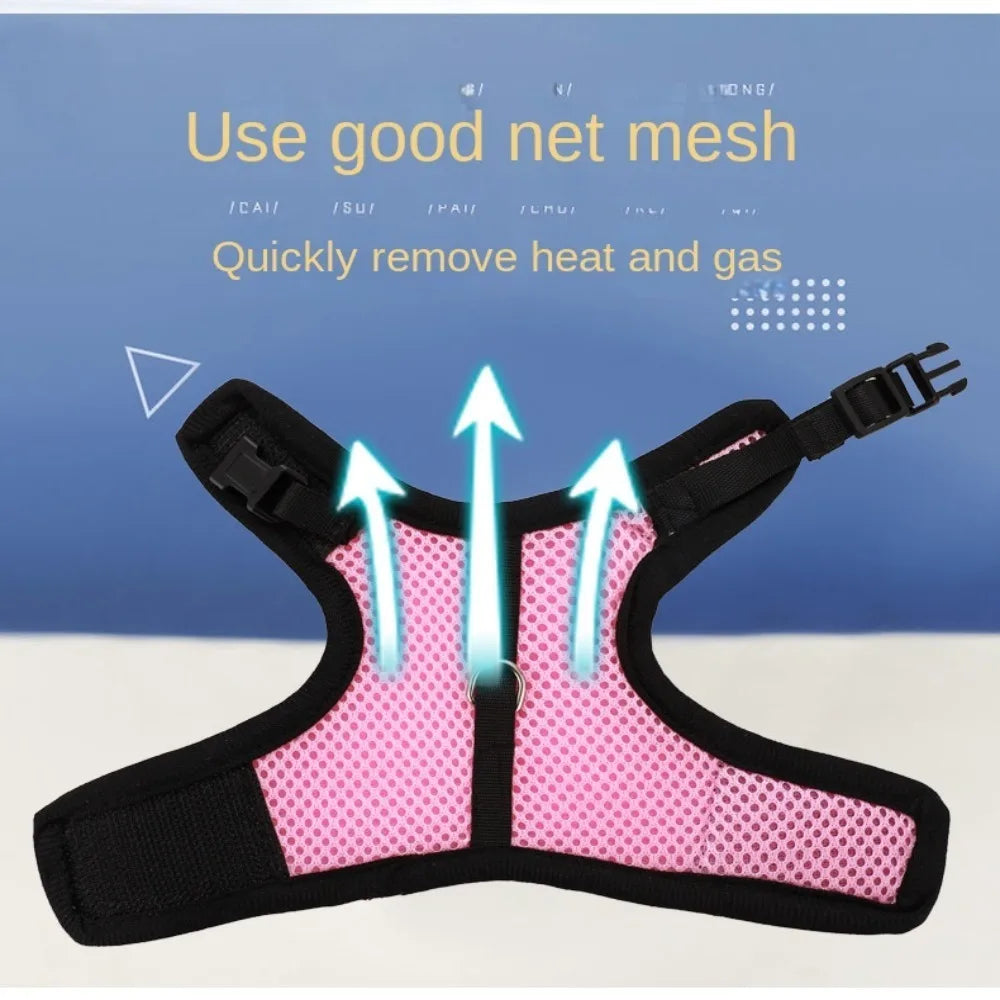 Fine Workmanship Pet Harness Rabbit Chest Harness Leash Guinea Pig Rabbit Sable Kitten Leash Small Pet Traction Leash Rabbit