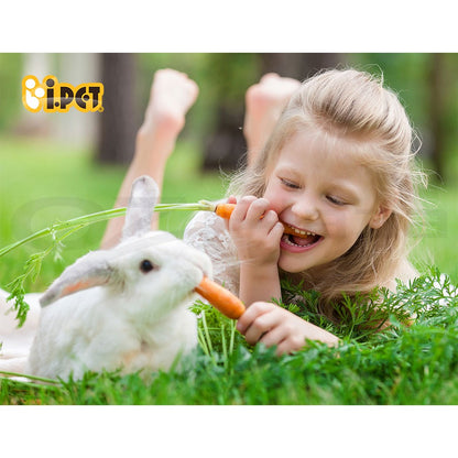 I.Pet Rabbit Hutch Chicken Coop Large Wooden House Run Cage Pet Hutch Bunny