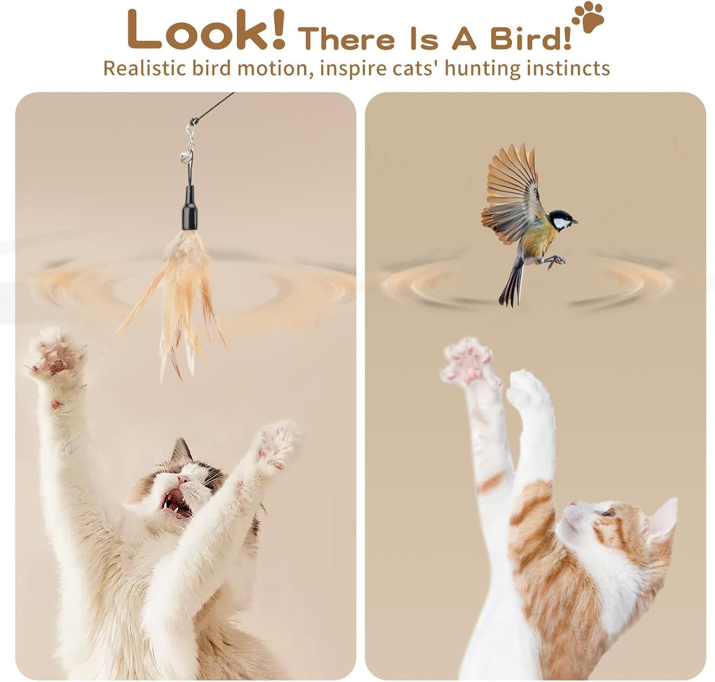 Cat Feather Wand Interactive Toy, 2 Feathers + 1 Wand with Bell | Cat Feather Teaser Toys Flying Catcher Extra Long 34.5" Wand Exerciser Playing Chase Cat Toy Wands for Kitten or Cats, Brown
