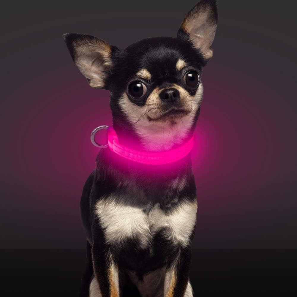 Light up Dog Collar for Small Dogs & Cats (Pink, XS) | Glow in the Dark Reflective Type- C Rechargeable Adjustable Flashing Illuminous Safety Dog Lights for Night Walking
