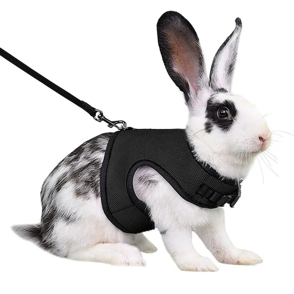 Fine Workmanship Pet Harness Rabbit Chest Harness Leash Guinea Pig Rabbit Sable Kitten Leash Small Pet Traction Leash Rabbit